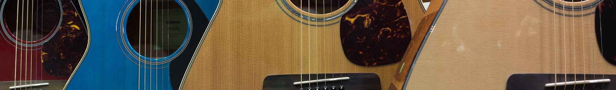 Acoustic Guitars and Guitar Accessories