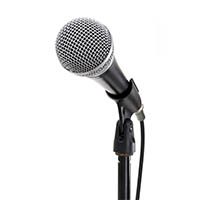 Microphone