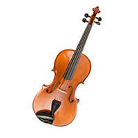 VIOLA
