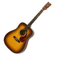 Acoustic Guitar