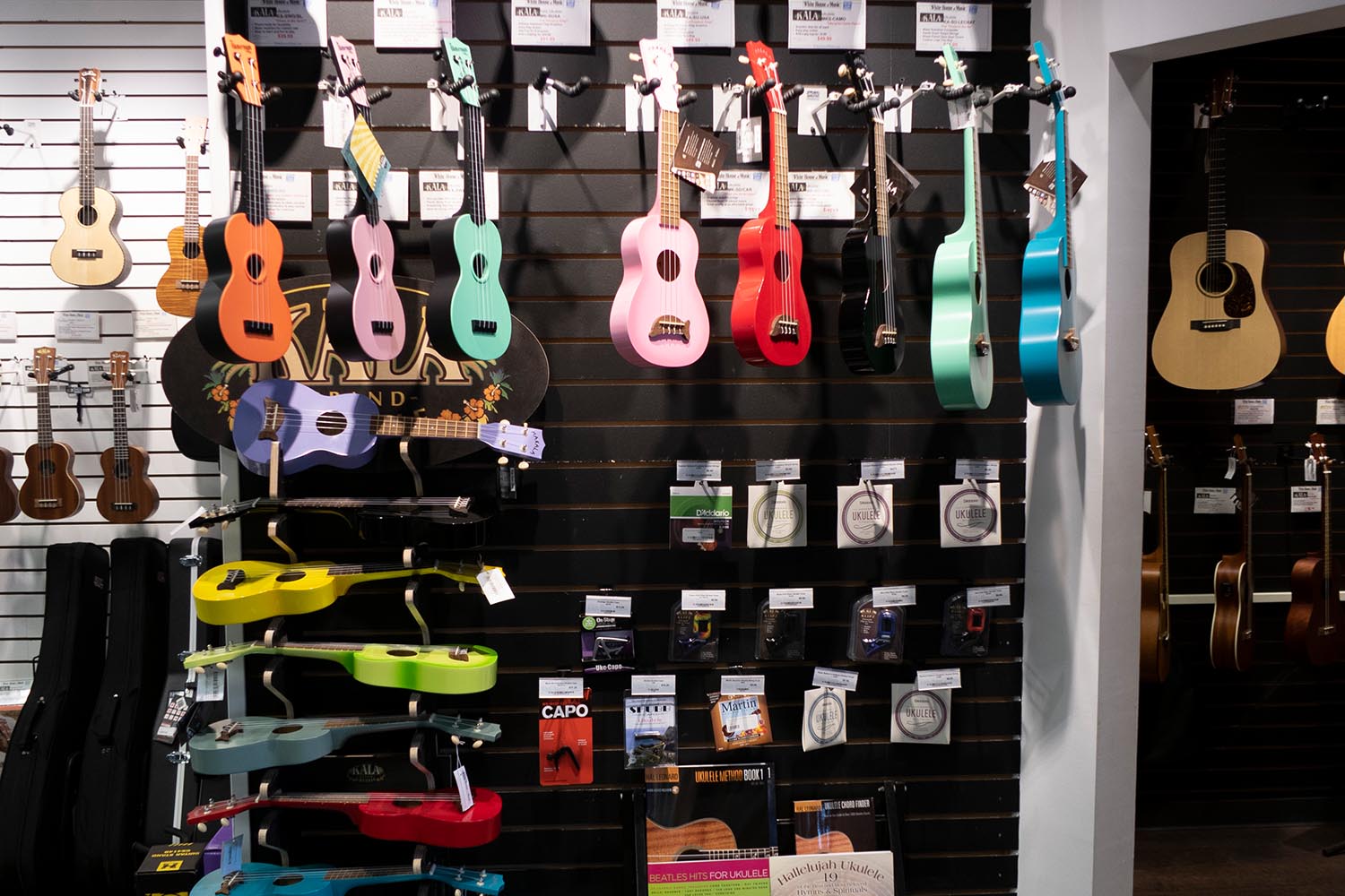 Watertown Ukulele Section
