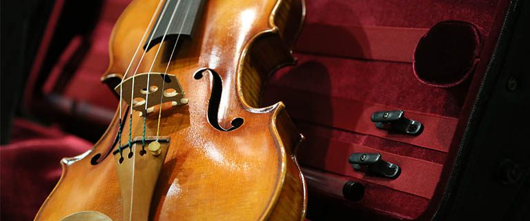 Violin in a case